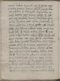 Kantonsbibliothek-Vadiana-St.-Gallen-Vadianische-Sammlung-der-Ortsbuergergemeinde--VadSlg-Ms-65-fol.-53vo